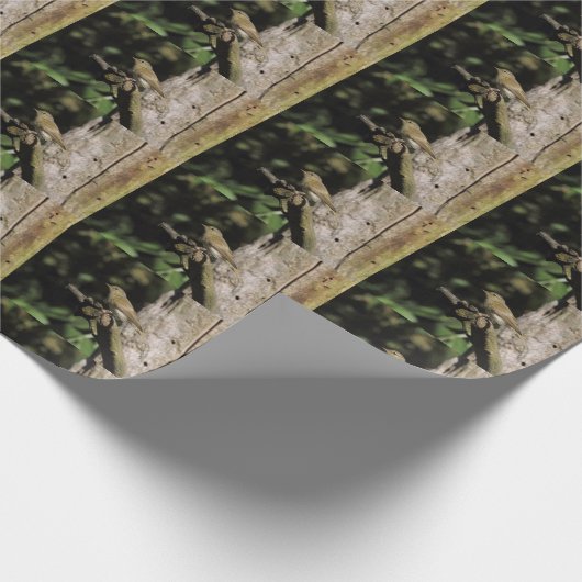 Phylloscopus collybita geschenkpapier (Ecke)