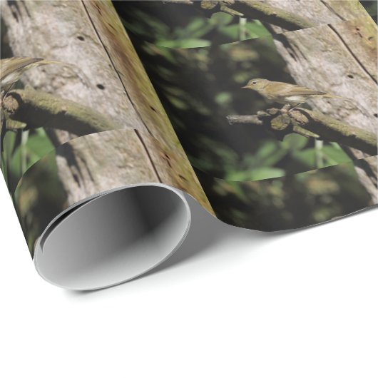 Phylloscopus collybita geschenkpapier (Rolleneckpunkt)
