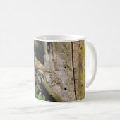 Phylloscopus collybita kaffeetasse (VorderseiteRechts)