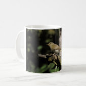 Phylloscopus collybita kaffeetasse (Vorderseite Links)