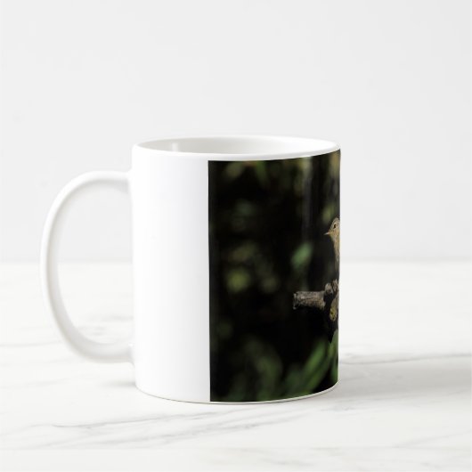 Phylloscopus collybita kaffeetasse (Links)