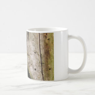Phylloscopus collybita kaffeetasse