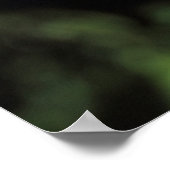 Phylloscopus collybita poster (Ecke)