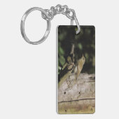 Phylloscopus collybita schlüsselanhänger (Vorderseite links)