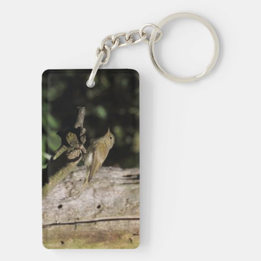 Phylloscopus collybita schlüsselanhänger (Rückseite)