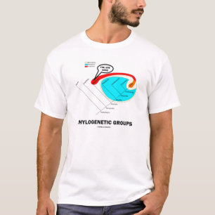 Phylogenetische Gruppen - Sie sind hier T-Shirt