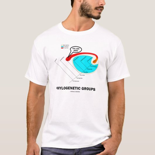 Phylogenetische Gruppen - Sie sind hier T-Shirt (Vorderseite)