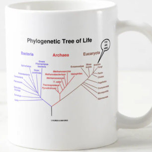 Phylogenetischer Baum des Lebens - Sie sind hier Kaffeetasse