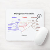 Phylogenetischer Baum des Lebens - Sie sind hier Mousepad (Mit Mouse)