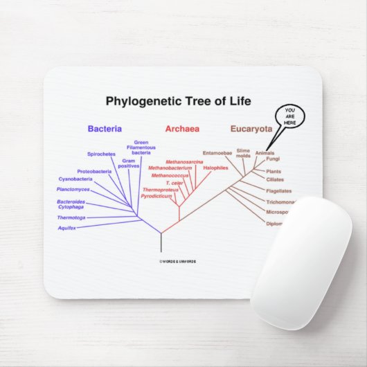 Phylogenetischer Baum des Lebens - Sie sind hier Mousepad (Mit Mouse)