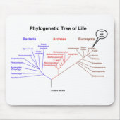 Phylogenetischer Baum des Lebens - Sie sind hier Mousepad (Vorne)
