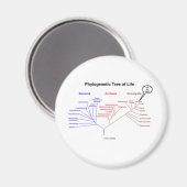 Phylogenetischer Baum - Sie sind hier (Biologie) Magnet (Vorderseite/Rückseite)