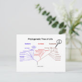 Phylogenetischer Baum - Sie sind hier (Biologie) Postkarte (Stehend Vorderseite)
