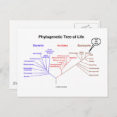 Phylogenetischer Baum - Sie sind hier (Biologie) Postkarte (Vorne/Hinten)