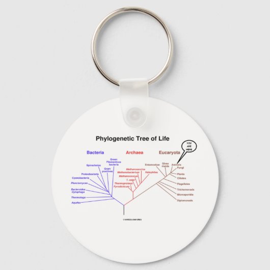 Phylogenetischer Baum - Sie sind hier (Biologie) Schlüsselanhänger (Vorderseite)