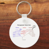 Phylogenetischer Baum - Sie sind hier (Biologie) Schlüsselanhänger (Vorderseite)