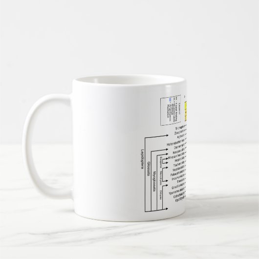 Phylogenetisches Diagramm von Lepidoptera Kaffeetasse (Links)