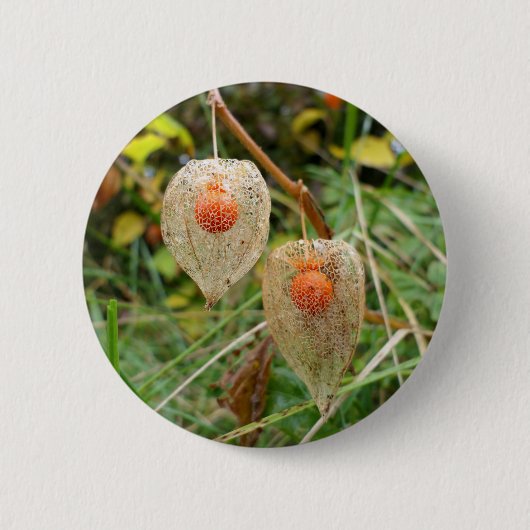 Physalis alkekengi Abzeichen Button (Vorderseite)
