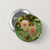 Physalis alkekengi Abzeichen Button (Vorne & Hinten)