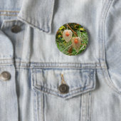 Physalis alkekengi Abzeichen Button (Beispiel)