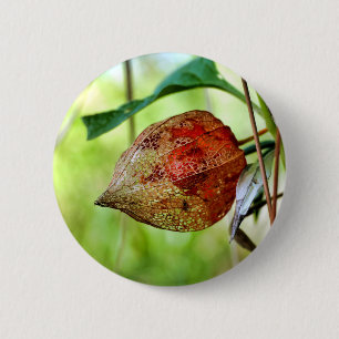 Physalis alkekengi Abzeichen Button