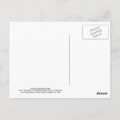 Physalis alkekengi franchetti postkarte (Rückseite)