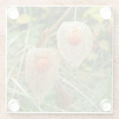 Physalis alkekengi glasuntersetzer (Rückseite)