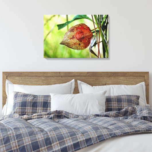 Physalis alkekengi leinwanddruck (Insitu (Schlafzimmer))