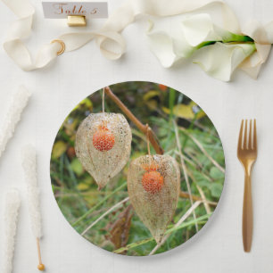 Physalis alkekengi Papierplatte Pappteller
