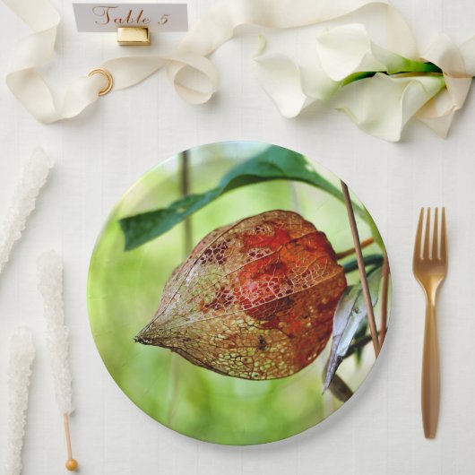 Physalis alkekengi Papierplatte Pappteller (Hochzeit)