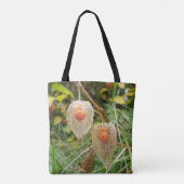 Physalis alkekengi tasche (Rückseite)