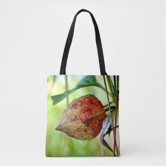 Physalis alkekengi tasche (Vorderseite)