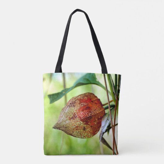 Physalis alkekengi tasche (Rückseite)