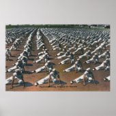 Physical Training Program for Recruits - US Navy Poster (Vorne)