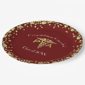Physician Assistant PA Abschluss Maroon Gold Pappteller (Schrägansicht)