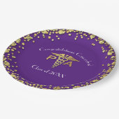 Physician Assistant PA Graduation Purple Gold Pappteller (Schrägansicht)