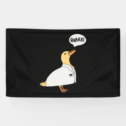 Physik-Duck Banner (Horizontal)