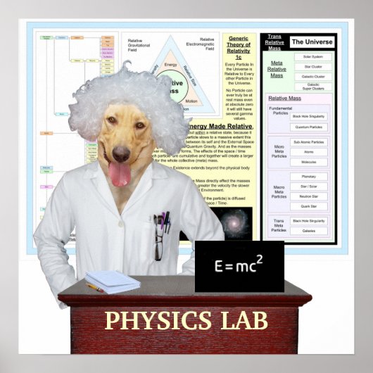 Physikalischer Labrador Poster (Vorne)