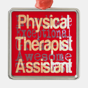 PhysiotherapeutAssistant Extraordinaire Ornament Aus Metall