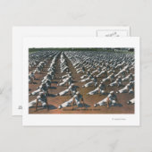 Physisches Schulungsprogramm für Rekruten - US-Mar Postkarte (Vorne/Hinten)