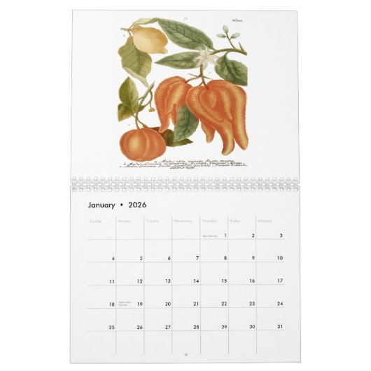 Phytanthoza Iconographia Kalender (Jan 2026)