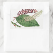 Phytolacca Decandra (American Pokeweed) (1806) Rechteckiger Aufkleber (Tasche)