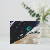 Phytoplankton blüht aus Namibia Postkarte (Stehend Vorderseite)