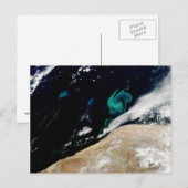 Phytoplankton blüht aus Namibia Postkarte (Vorne/Hinten)