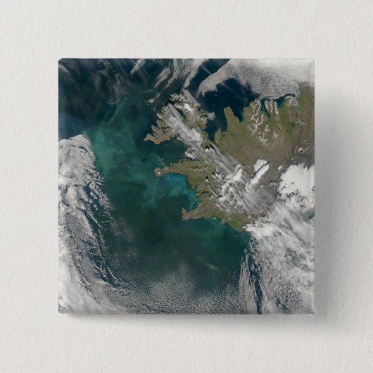 Phytoplankton blüht im Nordatlantik Button (Vorderseite)
