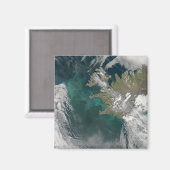 Phytoplankton blüht im Nordatlantik Magnet (Vorderseite/Rückseite)