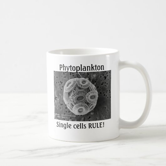 Phytoplankton, Einzelzellen REGEL! Kaffeetasse (Rechts)