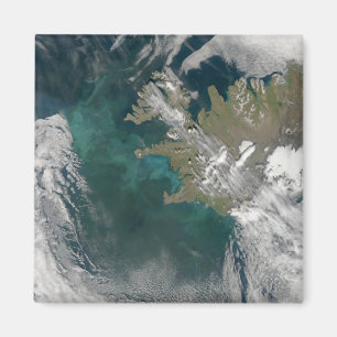 Phytoplanktonblüte im Nordatlantik Magnet