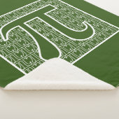 Pi 2 sherpadecke (3/4)