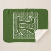 Pi 2 sherpadecke (Vorderseite (Horizontal))